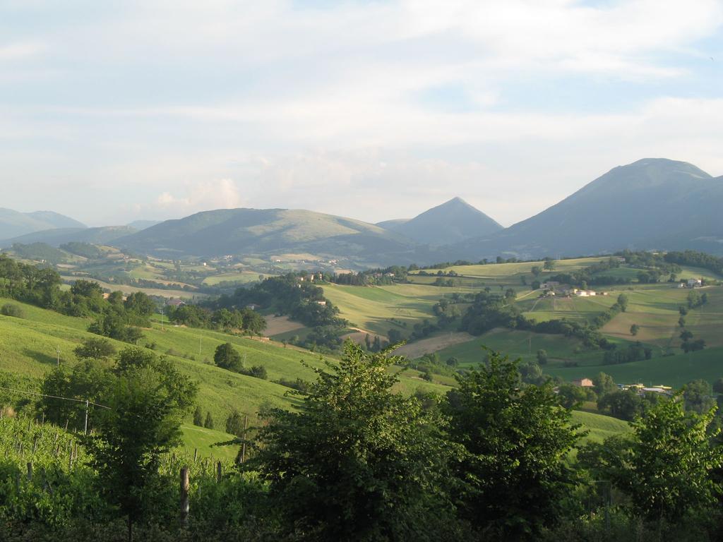 Locanda Dell'Istrice Camerino Ruang foto